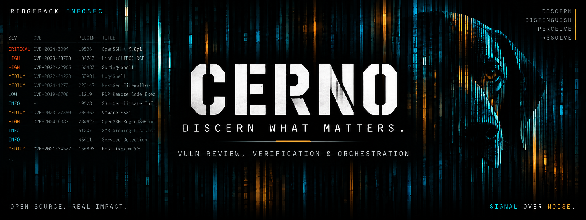 Cerno banner
